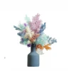 2020 best popular preserved flower fashionable preserved Asparagus myrioeladus for  home or wedding decoration