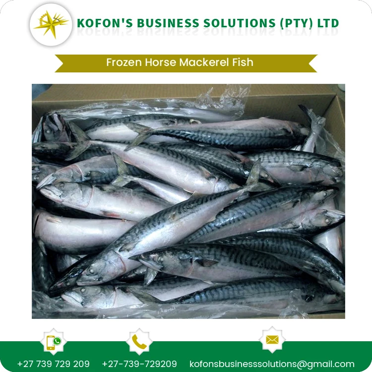 2020 Best Price Bulk Stock Whole Frozen Seafood Horse Mackerel Fish