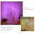 Import 2020 new style battery and USB powered touch control desk top 108LED copper christmas tree light from China