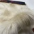 Import 2020 wholesale  fur faux fur fabric for garment from China