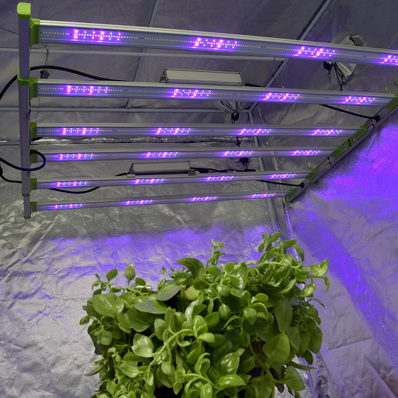 Buy 2021 Best Led Grow Light Using Newest Lm301b For Indoor Plants