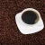 Import 2021 Roasted Whole Coffee Blend- 500g Robusta Blend 8038 - Whole Robusta Coffee Beans - MEDIAONSKY CAFE from Israel