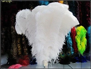 65-70cm White Ostrich Plume Feathers Large Decorative Feathers