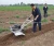 Import 6.5hp gasoline tiller cultivator from China