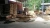 Import Acacia Sawn Timber/ pallet sawn timber/ pine sawn timber from China