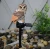 Import Amazon explosion models owl outdoor waterproof resin solar light LED garden decoration courtyard landscape light from China