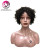 Import Angelbella Short Curly Wig Natural Black Full Density Machine Made Human Hair Wigs for Black Woman Kinky Curly Wig from China