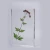 Import animal and plants specimen teaching resources animal clear resin embedded specimen from China