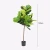 Import Artificial Ficus Bonsai Trees Plastic Faux Plastic Indoor Plants Fiddle Leaf Fig Tree from China