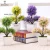 Import Artificial Plants Fake Mini Bonsai for Indoor & Outdoor Decorations from China