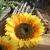 Artificial Sunflower Silk Cloth DIY Hand Made Flower Foam Flower Heads Wedding Decor Garden Flower Wreath Petals