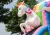 Import Attractive Colorful Unicorn Front Slide inflatable Bouncer combo with rain roof from China