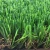 Import AVG Artificial Turf Green Artificial Grass Indoor Fake Grass from China