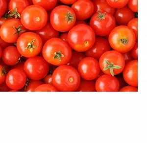 Best brand names fresh tomato with good taste