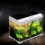 Import Best Selling Professional Aquarium Tank Fish Glass from China