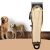 Import big power pet dog hair trimmer from China