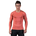 Breathable Mens Compression t shirt Dry Fit Green Fitness Wear Long Sleeved Training Jogging Wear
