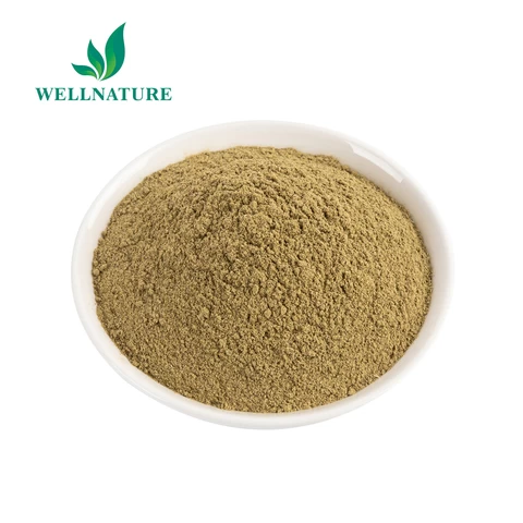 Bulk dried organic oregano leaf leaves herbs extract powder animal feed producer price