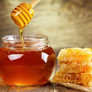 Bulk wholesale pure natural bee honey price in drums