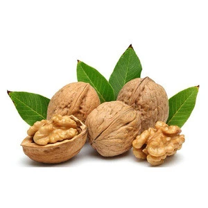 California walnut prices seed,walnut buyers