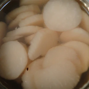 canned vegetable / canned water-chestnut with good quality