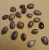 Import Castor Seeds Natural Brown Castor Seeds / Rapeseed from Belgium