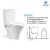Import Cheap Africa Style  two piece bathroom Dual flushing washdown wc water clost toilet from China