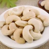 Cheap cashew nuts without skin/vietnam cashew nuts