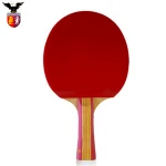 Cheap High Quality PingPong Table Tennis Racket Set Wholesale