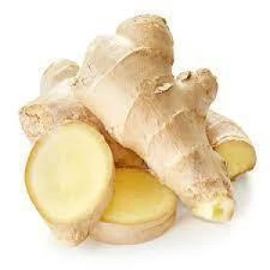 Cheap Price 100% Natural Ginger Root Organic Fresh Ginger High Quality Fresh Ginger