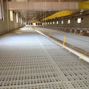 Cheaper price high quality pure PP poultry livestock slat floor