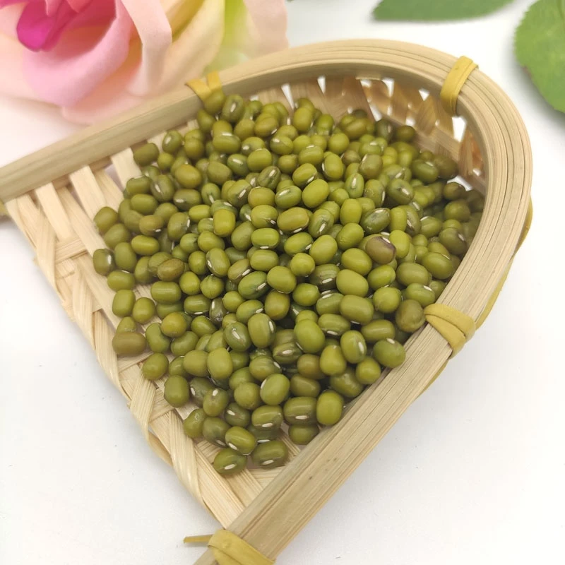 China Chifeng Origin New Crop Wholesale Price Conventional Green Mung Beans on Sale