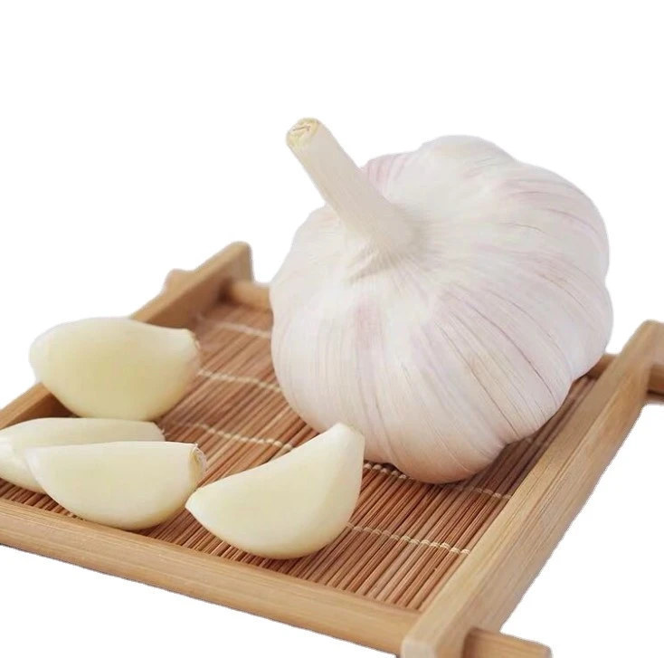 China fresh small garlic normal white  cheap garlic