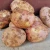 Import Chinese Excellent Quality Iqf Frozen Healthy Sweet Potato Wholesale from China