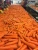 Import Chinese fresh carrot from China