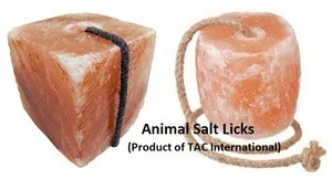 Competitive Price Himalayan Animal Salt Lick