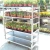 Import Container load flower auction plant nursery  rack  trolley from China