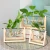 Import Creative Glass Tabletop flower vase Hydroponic Plant Home Decor Vase with  Wooden Frame vase decoration from China