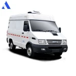 Custom made Van Refrigerated Truck