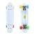 Custom New 22 Inch Adult PU Wheels Cheap Mini Surf Complete Fish Board Plastic Cruiser Board Banana Skate Skateboard For Kids