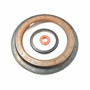 Customized HNBR Windshield O-Rings buna tc sc oil Seal