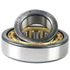 Cylindrical Roller bearing N207M