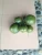 Import decorative artificial plants fake coconut from China