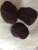 Import Detan Fresh Black Truffle Wild Mushroom Prices from China