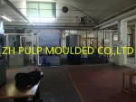 Disposable Paper Pulp Tableware plate Takeout Food container dishes forming machine production line