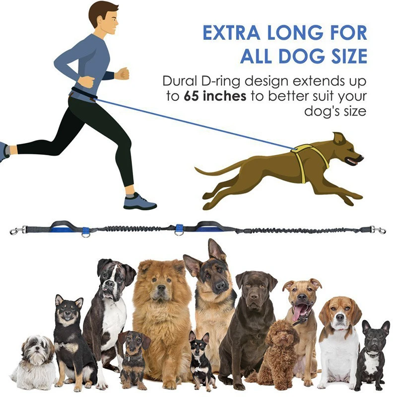 Dog walking leash set hands free running lead dual bungees with waist belt training treat pouch