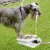 Import Dogs go out to feed water automatically and pedal automatic sprinklers. from China