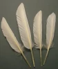 Dyed duck feather Pheasant Feather dot feathers for sales