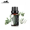 Eucalyptus Essential Oils Pure Natural 10ML Pure Essential Oils Aromatherapy Diffusers Oil Relieve Stress Home Air Care