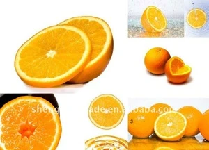 excellent Sweet fresh Orange fruits